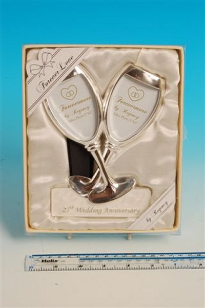 25th Anniversary Frame