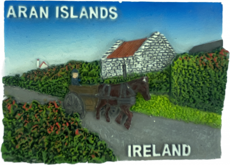 Aran Island Fridge Magnet