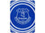 Everton FLEECE BLANKET PULSE DESIGN