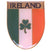 Ireland Flag with shamrock Fridge Magnet