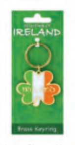 Shamrock Shape Tricolour Keyring