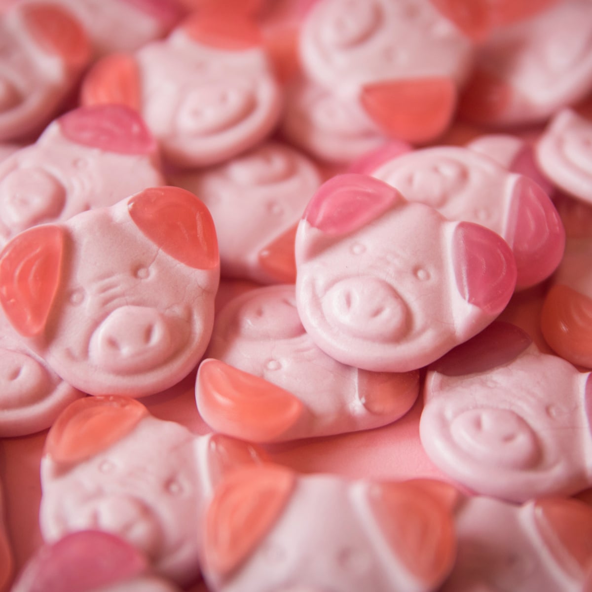 Piggies per 100g