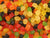 LION'S MIDGET GEMS per 100g