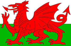 Welsh Flag Design- CUSTOM LICENSE PLATES