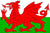 Welsh Flag Design- CUSTOM LICENSE PLATES