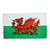 Wales 5x3 Large Flag